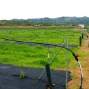 유목농장 이미지