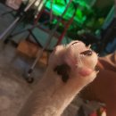 진구조주 | 8월 정산
