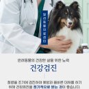 일리동물의료센터 이미지