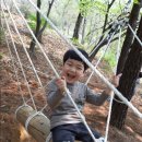 참창의숲 이미지