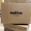 갤러리아 항균세탁 | 신발 유아 실내화 네이티브 재퍼슨 프린트 리틀 키즈 - 내돈내산 후기 / 매장 / 사이즈 팁 / 크록스 비교