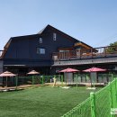 개들의왕국 이미지