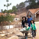 파로호생태마을 이미지