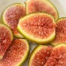 정보농장 이미지