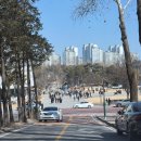 충북대학교 졸업식 후기 (2024)