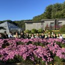 끼니와참 이미지