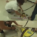 축복농장 이미지