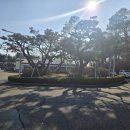 의전3 | 풍납동 출발 음성 왕복, 일진다이아몬드 주주총회 VIP 의전 후기