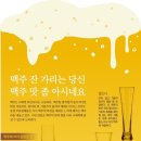 맥주잔 종류 이미지