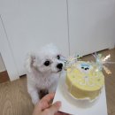 견생공방 이미지