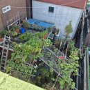 중앙동253 이미지