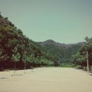 벌곡오토캠핑장 이미지