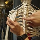 핏커버리 도산2호점 | 서울스포츠재활 핏커버리 도산 메타바디 재활운동팀 2호점 체형교정 후기