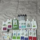 옥주현 유스트(Just) 탈모관리 내돈내산 관리법/오일효능/할인방법