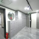 까사비용 이미지