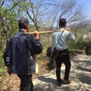 옥과농협 겸면지점 | 칠봉리 우리마을 음력 삼월삼일 전통세시풍습 샘제