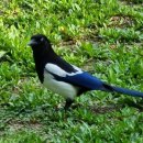 하늘에너지 이미지