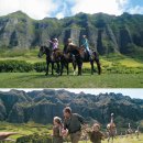 새영화목장 이미지