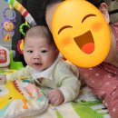 모모 파크 이미지