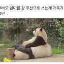 무안톱관광펜션 이미지