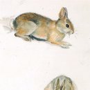 탸샤처럼