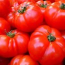 토마토 - 의정부시 태평로73번길 20 | 토마토