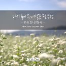 에스제이진