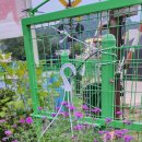 예나농장 이미지