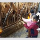 주촌농장 이미지