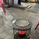 야생골뱅이 티스토리