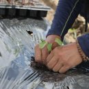 칠성면업사 이미지