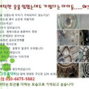 그린세탁 이미지