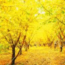 숲길농원 이미지