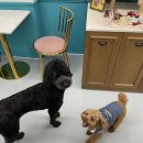 아이젠트리동탄점 이미지