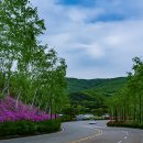 호암미술관 이미지