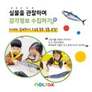 미술노리터