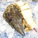 산들바다마을 이미지