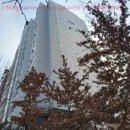 양지마을2로 이미지