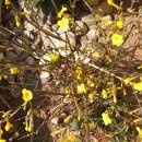 부부요양병원 이미지