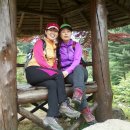 가평의아침 이미지