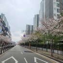 증산증학교 네이버블로그