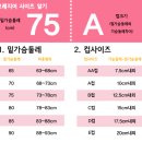 브래지어 치수 재는 방법 이미지