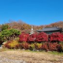 아산 대윤사 석조미륵보살입상 이미지