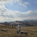 강원도장애인 생산품판매시설 | ⛄[강원도 평창 여행 추천지] 대관령삼양라운드힐(삼양목장) 총정리 ㅣ겨울 눈꽃 명소