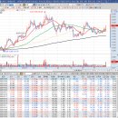 고래사냥꾼 20250729 관심종목＜태광,한미사이언스＞ 이미지
