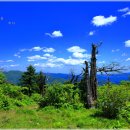 태백산국립공원(太白山國立公園)설경및 사진, 예로부터 민족의 명산으로 알려져 있다. 이미지