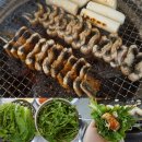 한강민물 이미지