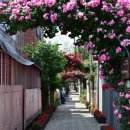 강동-천호-377 이미지