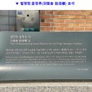 읍청루 이미지