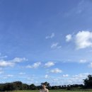 림의 집 이미지